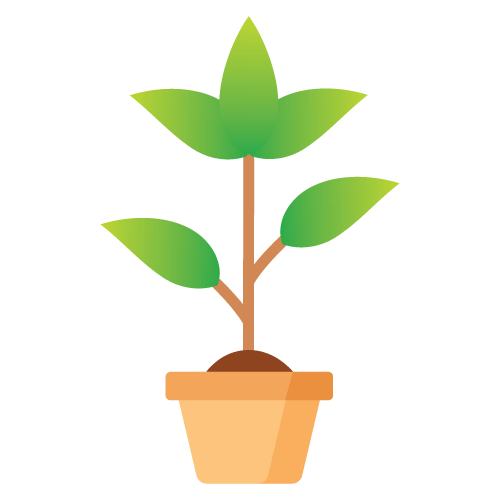 cleaning-of-plants
